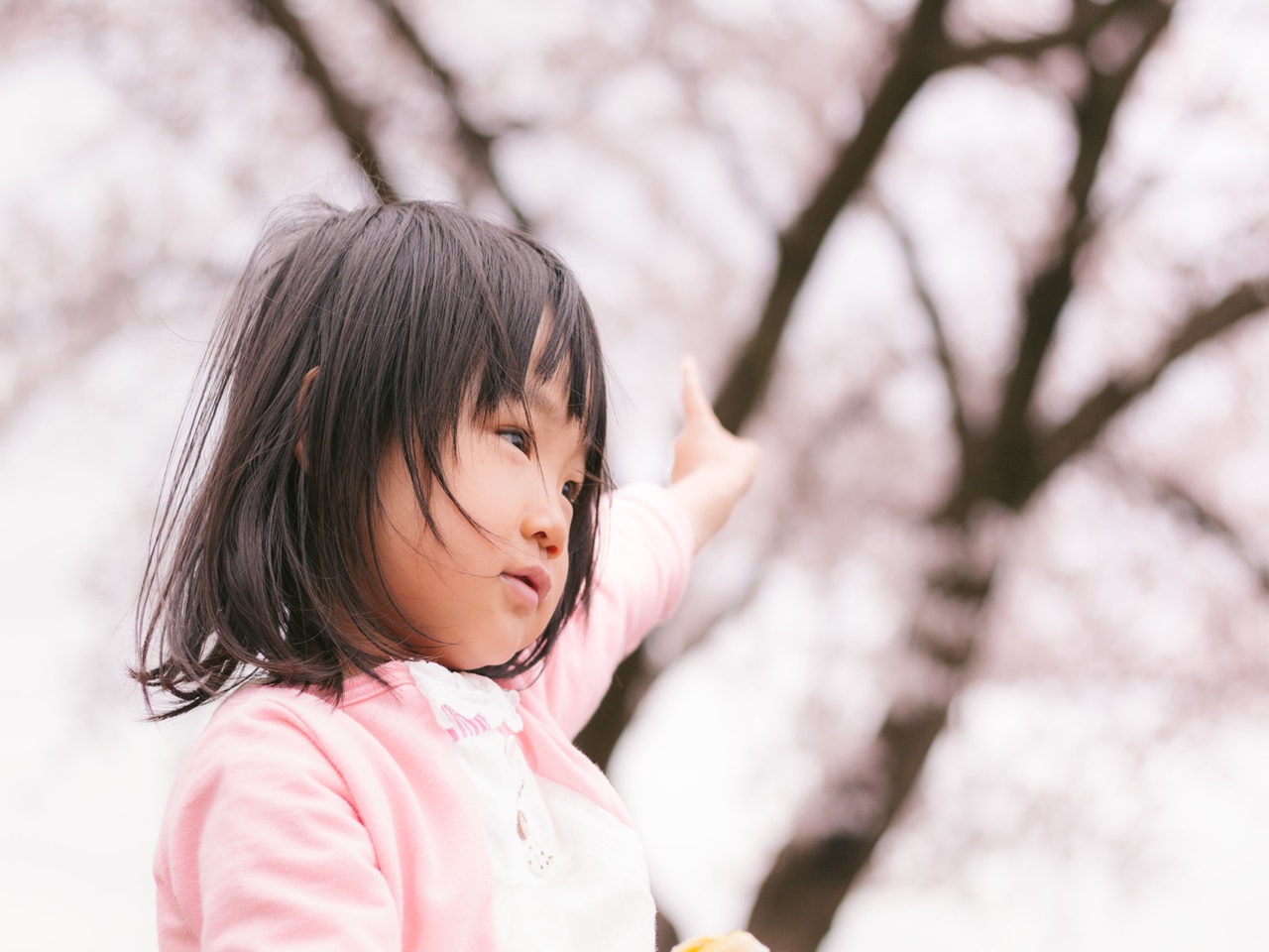 子どもと一緒に花見